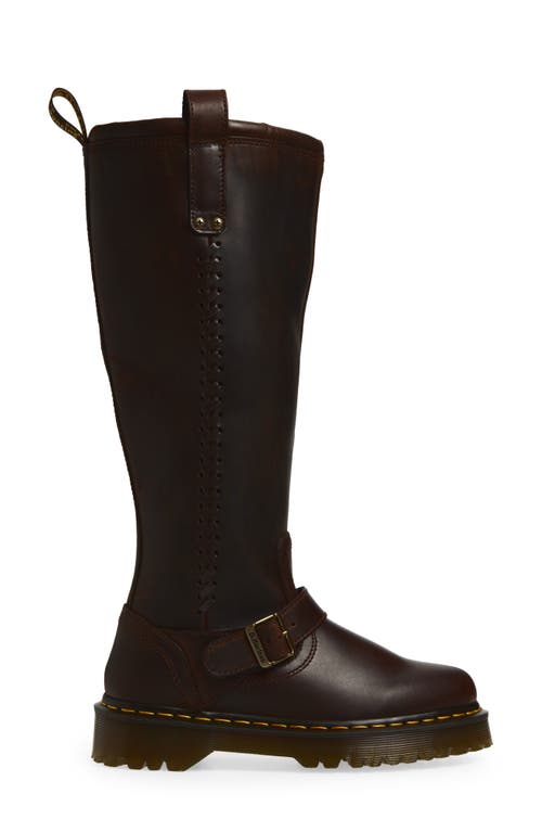 Dr. Martens Anistone Knee High Boot In Brown
