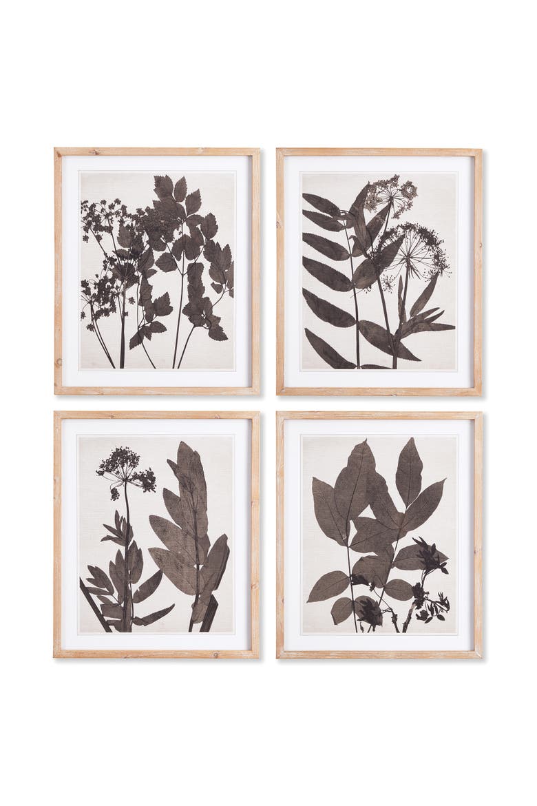 Pressed Foliage Plant Art Prints with Light Wood Frame Set of 4, Main, color, Black