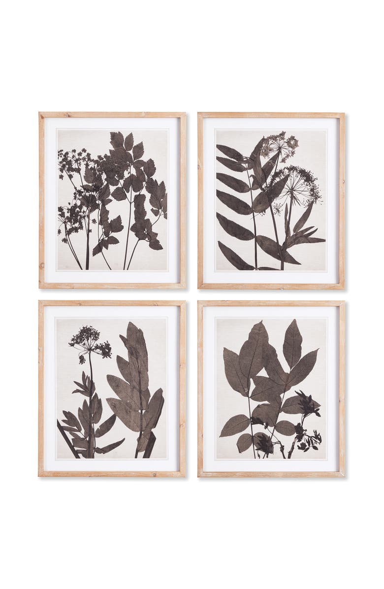 Napa Home & Garden Pressed Foliage Plant Art Prints with Light Wood Frame Set of 4, Main, color, Black