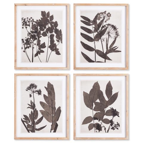 Pressed Foliage Plant Art Prints with Light Wood Frame Set of 4