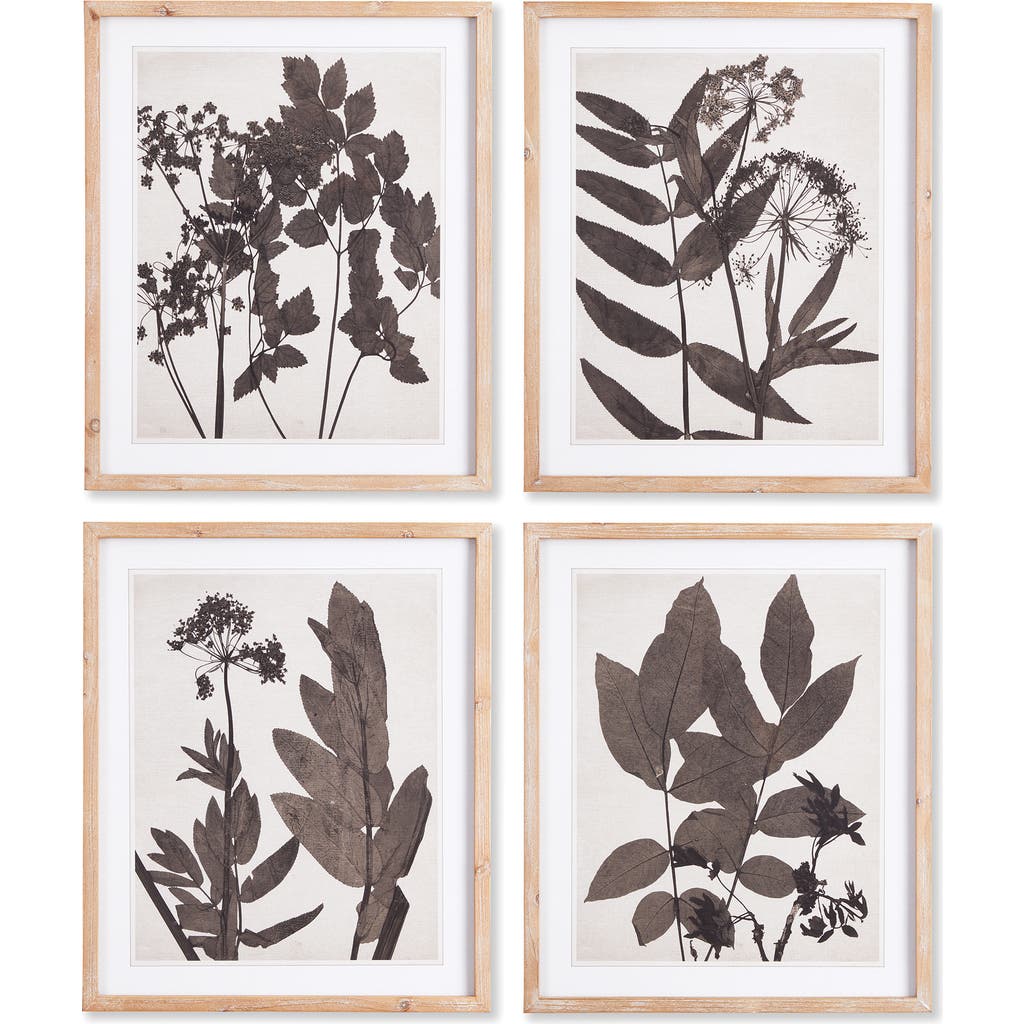 Napa Home & Garden Pressed Foliage Plant Art Prints With Light Wood Frame Set Of 4 In Black