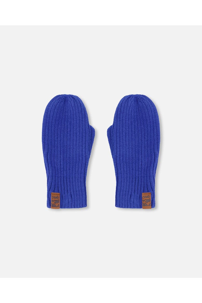 Boy Soft Ribbed Knit Mittens, Main, color, Royal Blue