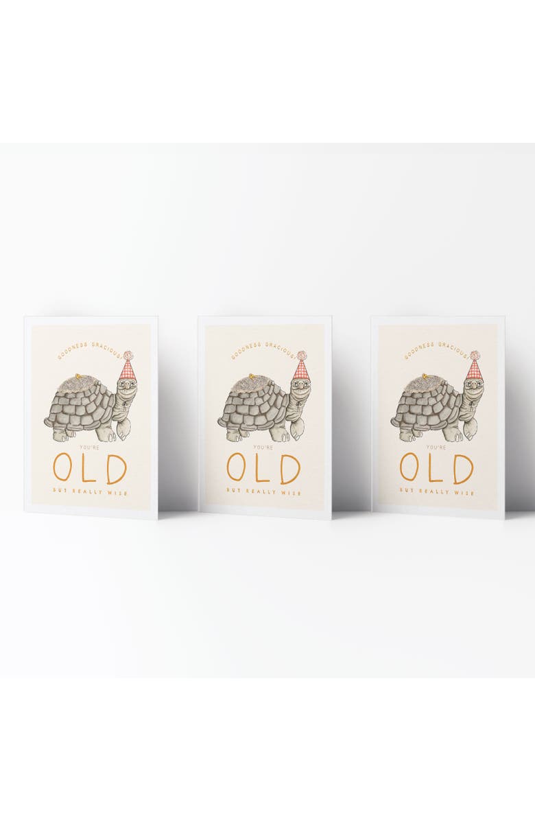 Ramus & Co Birthday Greeting Card Pack Sets (3 ct) Old Turtle, Main, color, Multi-Pack