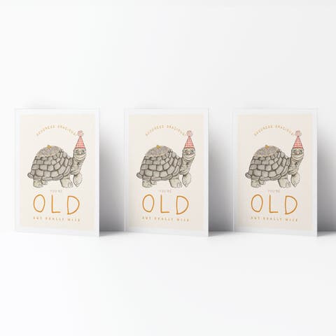 Birthday Greeting Card Pack Sets (3 ct) Old Turtle