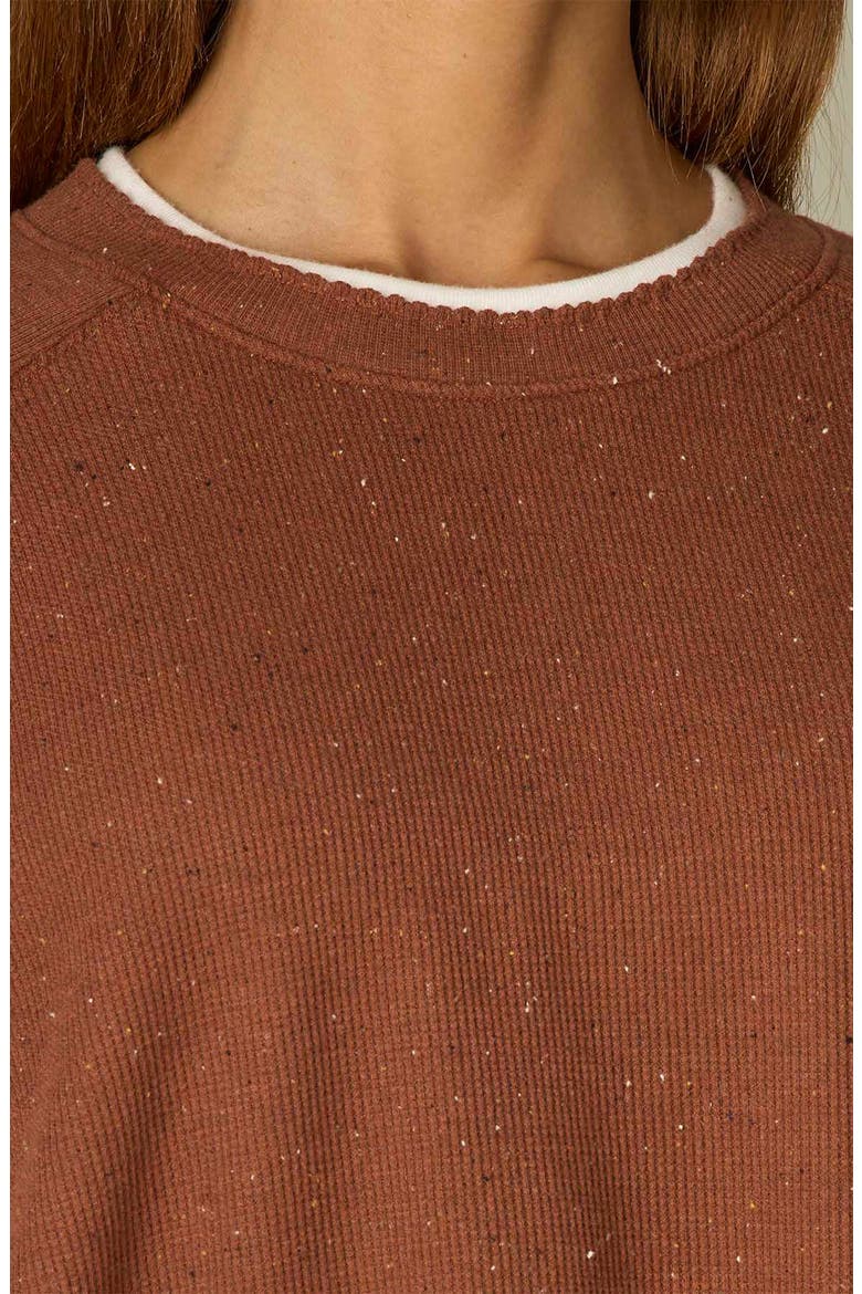 Raglan Sleeve Rib Top, Alternate, color, TOASTED CI
