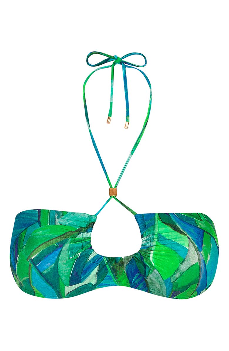 ViX Paula Hermanny Tropics Fay Bikini Top, Alternate, color,
