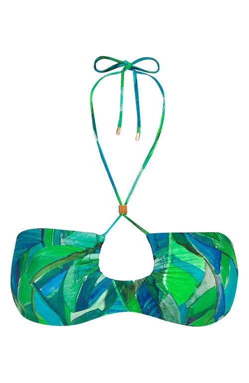 VIX SWIMWEAR VIX PAULA HERMANNY TROPICS FAY BIKINI TOP
