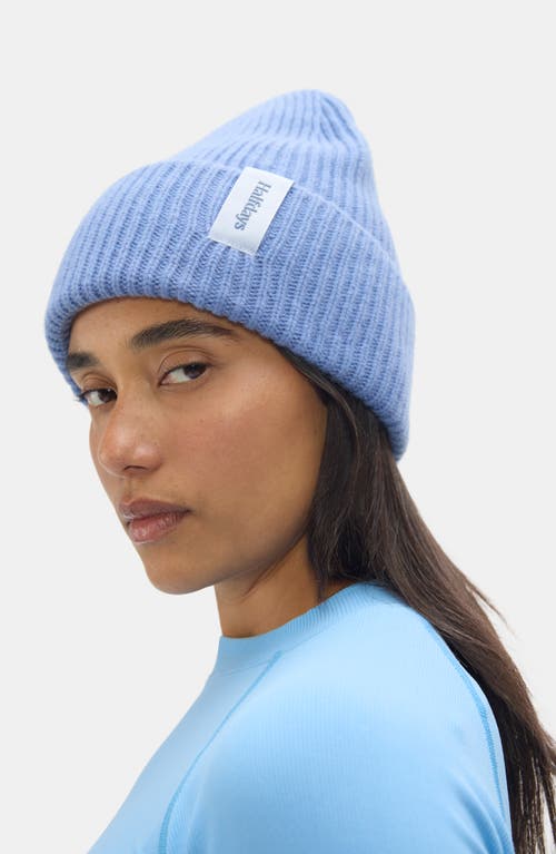 Halfdays Rib Merino Wool Beanie In Purple