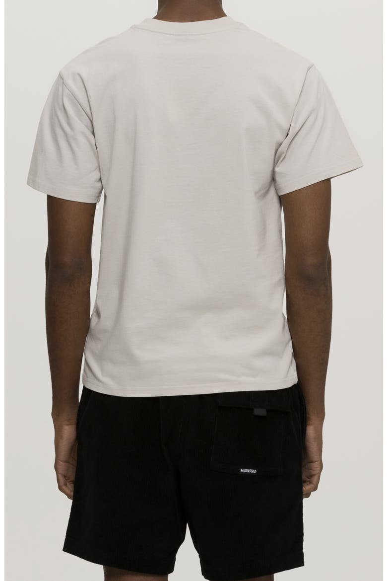 Madras Rad Graphic T-Shirt, Alternate, color, CEMENT