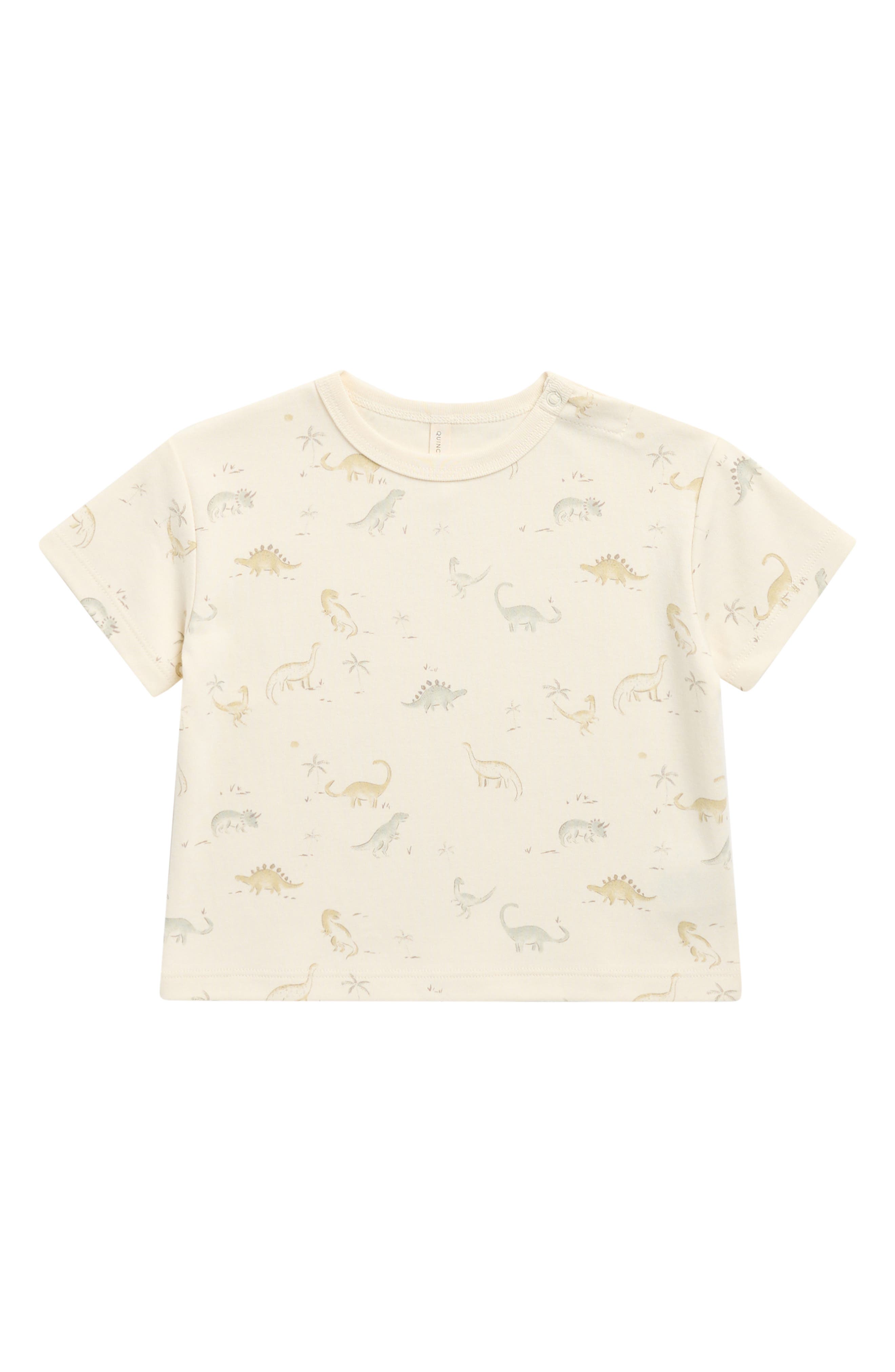 selected IVORY