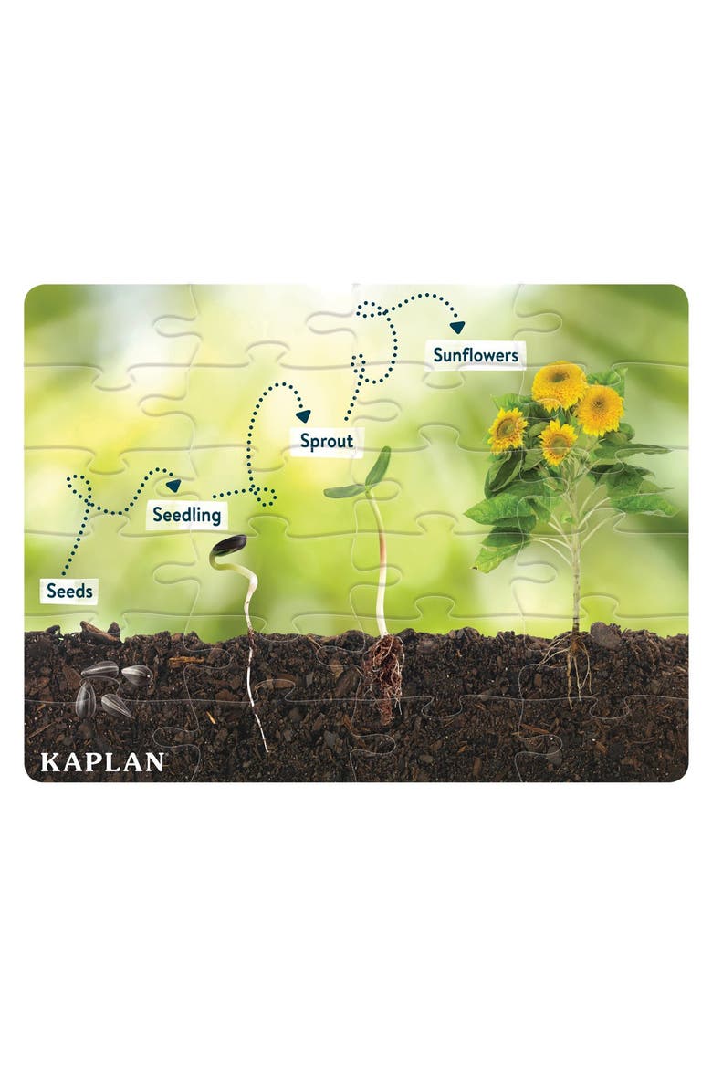 Sunflower Life Cycle Floor Puzzle from Seed to Sunflower - 24 Pieces, Main, color, Green