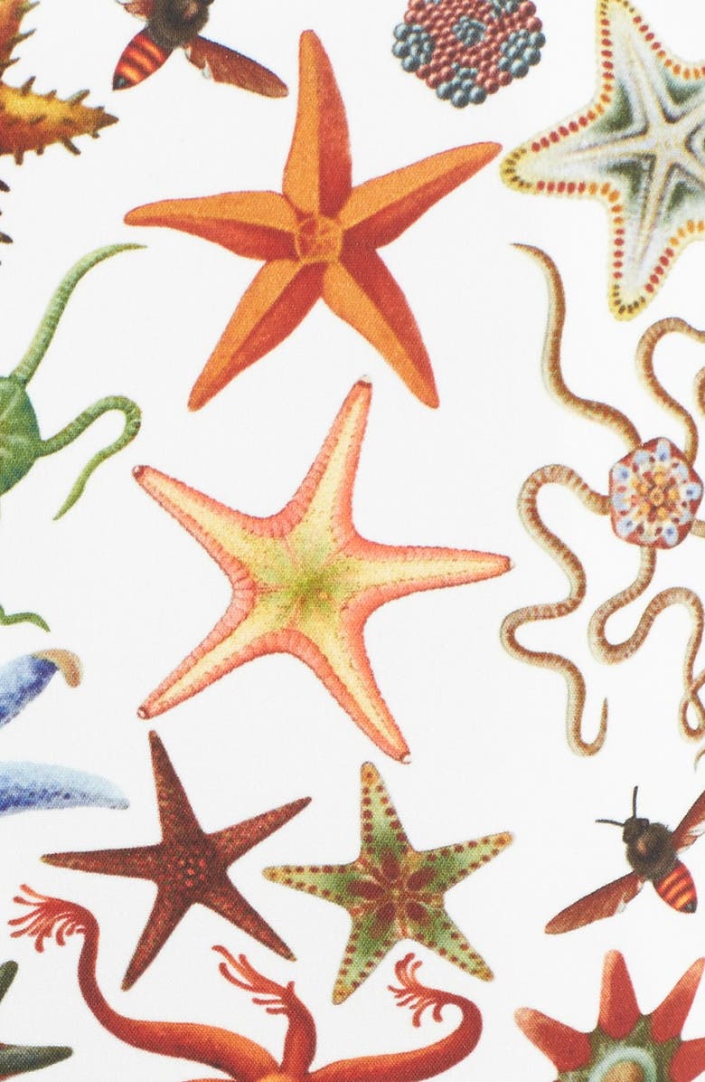 Versace Collection Starfish Print Bicolor Sheath Dress, Alternate, color,