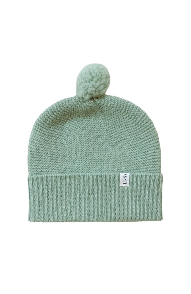 TBCo Merino Wool Baby Beanie, Main, color, Pistachio