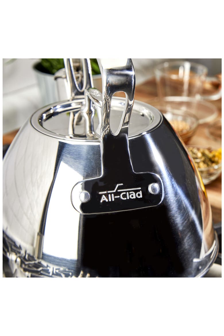 2-Quart Stainless Steel Tea Kettle, Alternate, color, STAINLESS STEEL