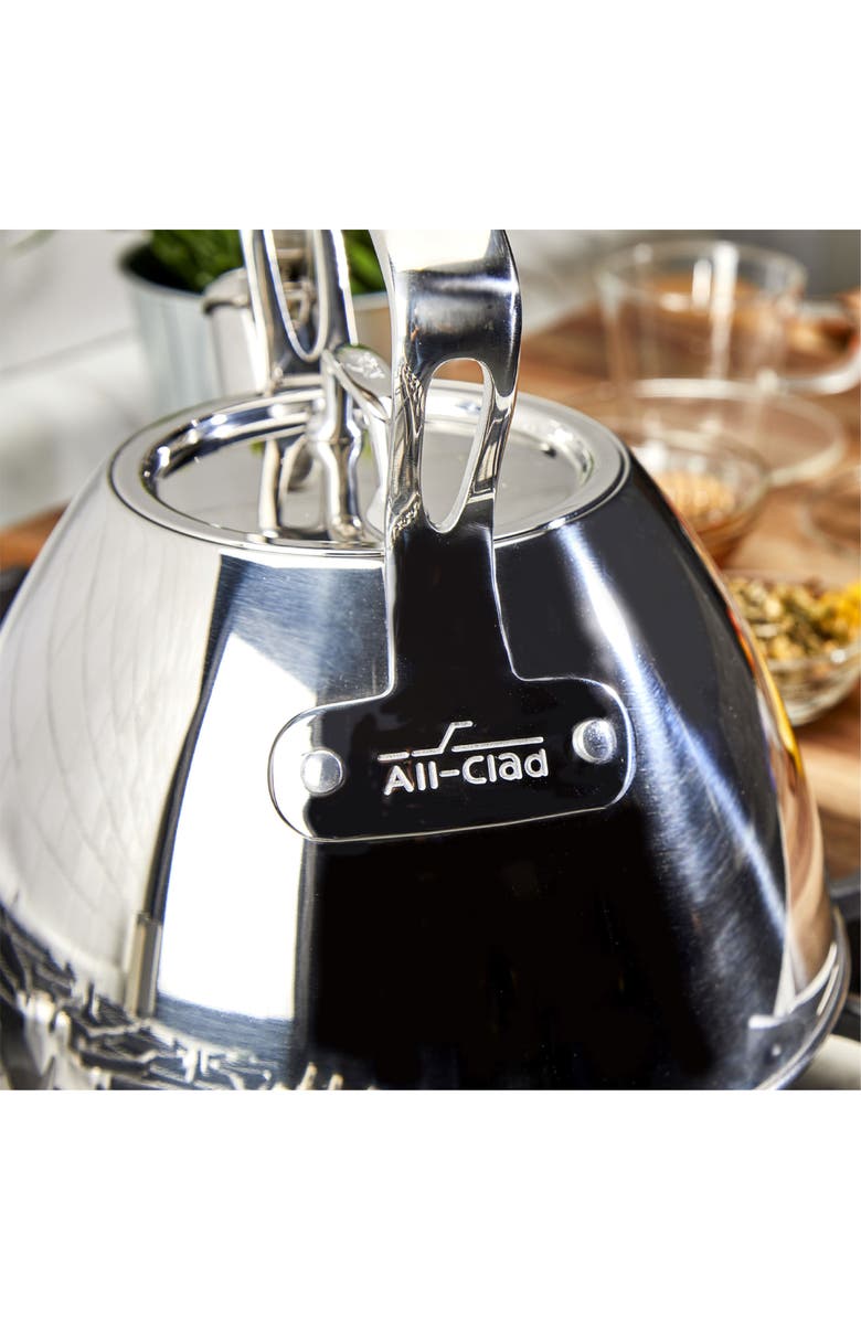 All-Clad 2-Quart Stainless Steel Tea Kettle, Alternate, color, Stainless Steel
