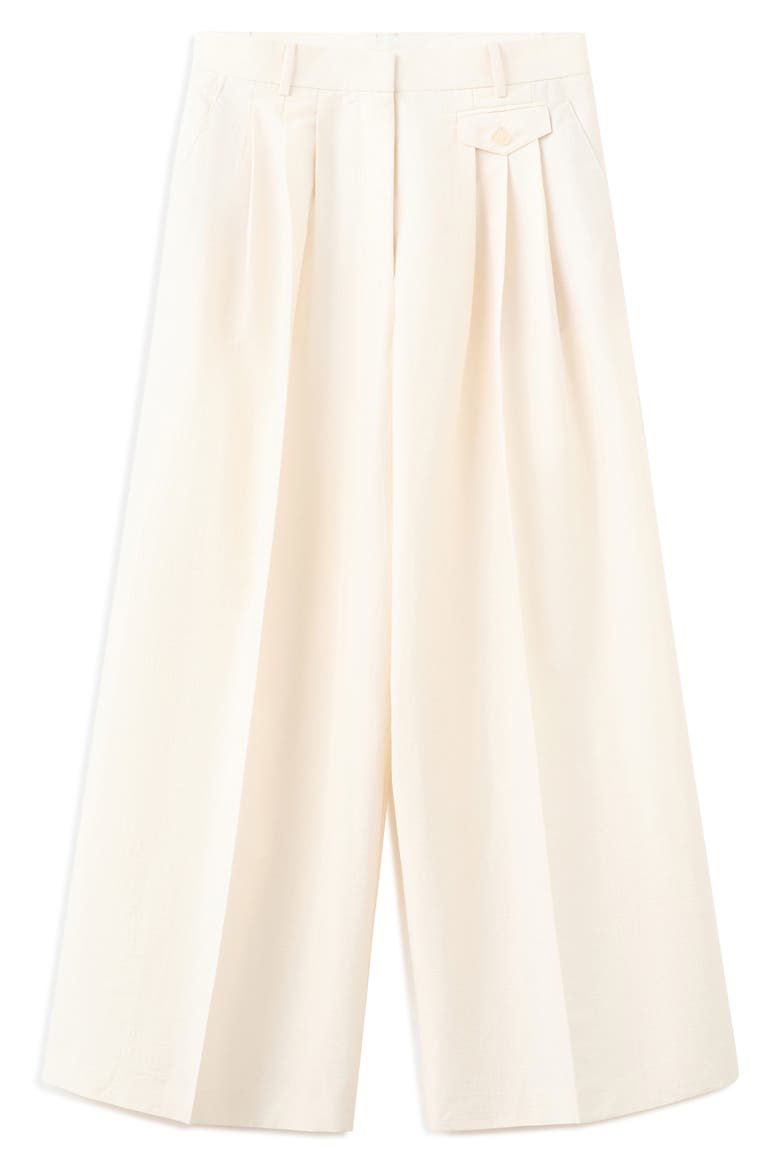 Pleat Front Wide Leg Pants, Alternate, color, ECRU