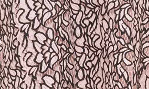 Kensie Two-tone Lace Sleeveless Fit & Flare Dress In Blush/black