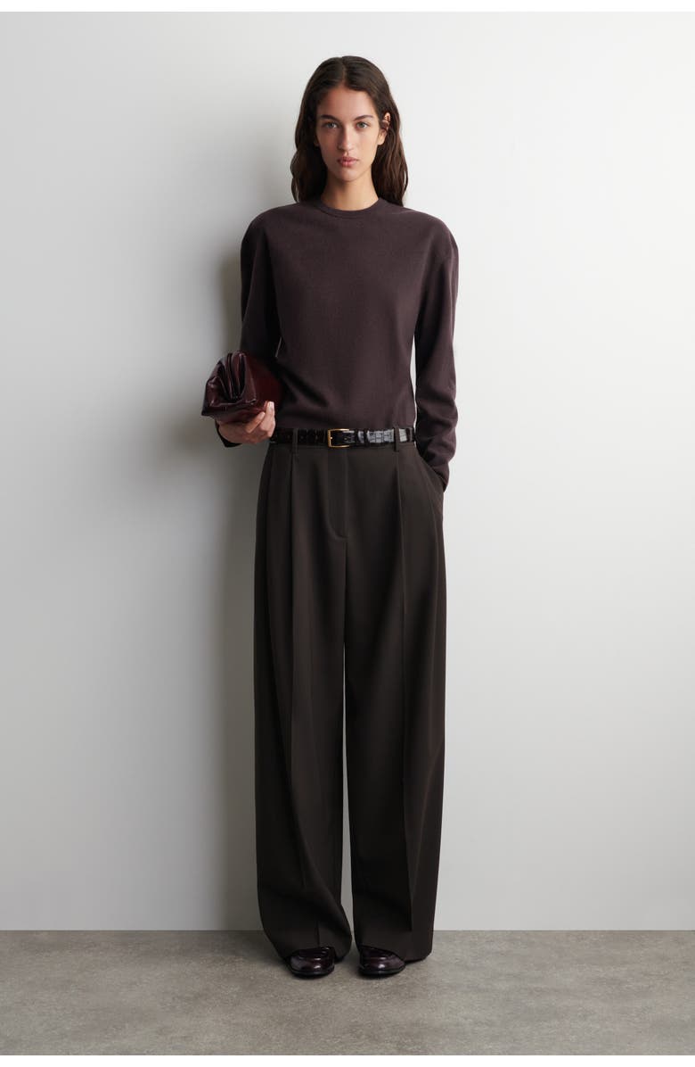 COS Merino Wool Crew-neck Jumper, Alternate, color, Dark Brown