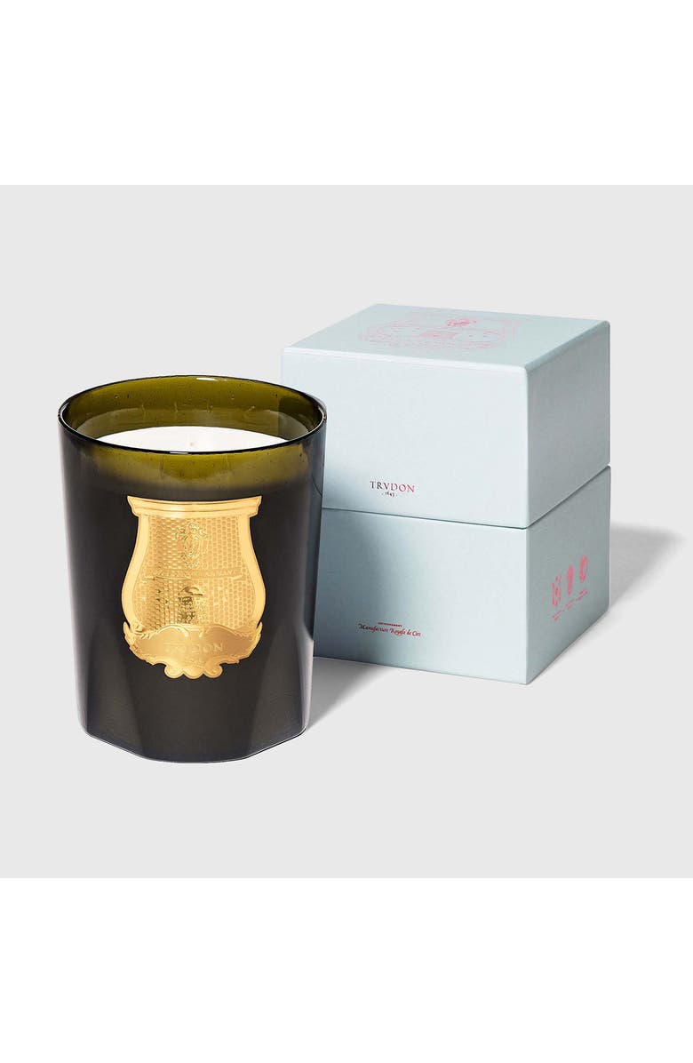 Trudon Ernesto Leather and Tobacco Candle, Alternate, color, 