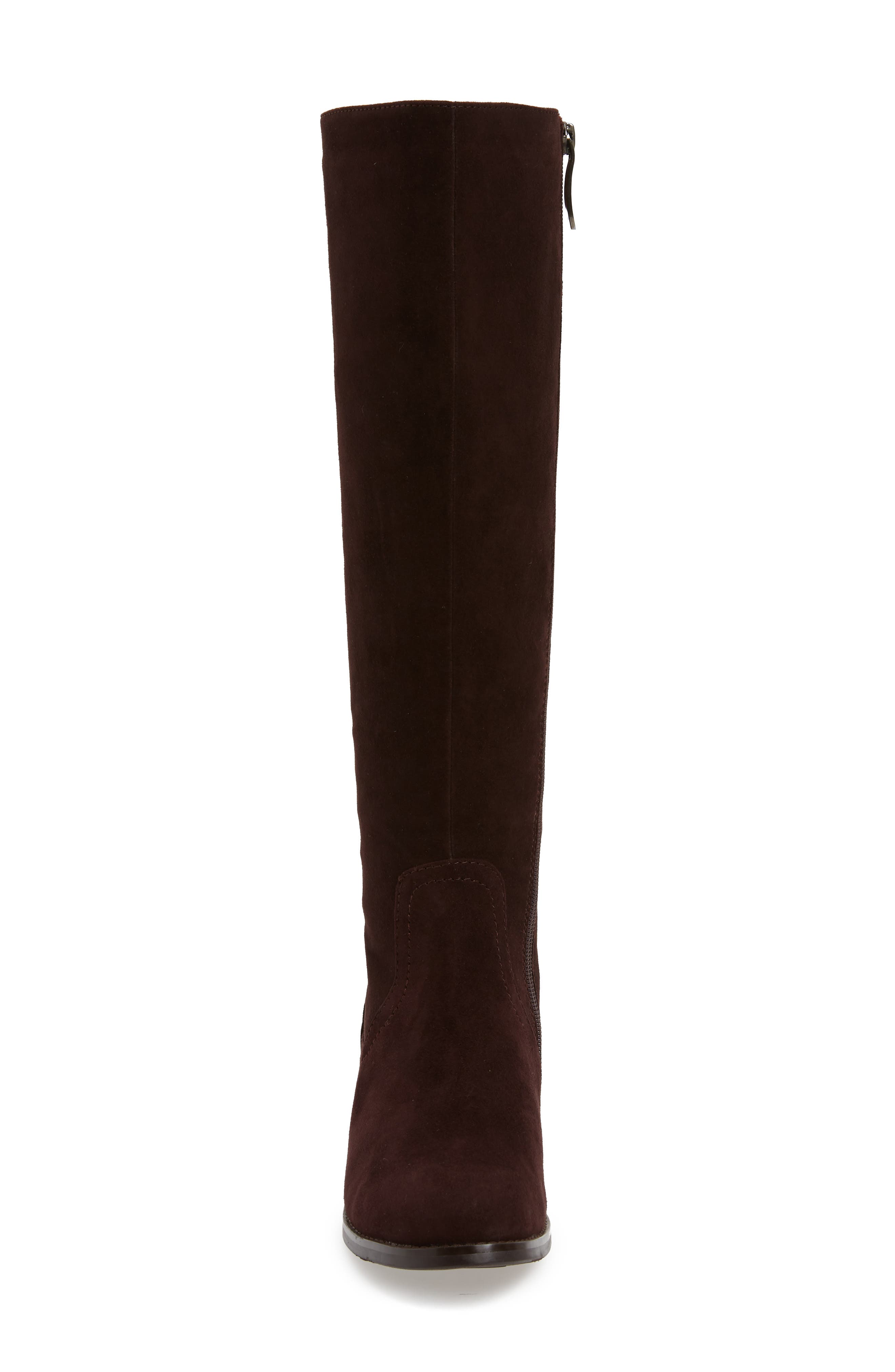 AquaDiva Montreal Waterproof Knee High Boot, Alternate, color, 