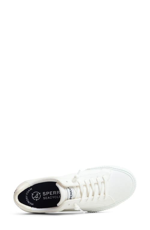 Sperry Top-sider® Sperry Bermuda Sneaker In White
