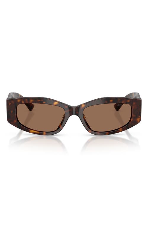 Jimmy Choo 53mm Irregular Sunglasses in Havana/dark Brown at Nordstrom