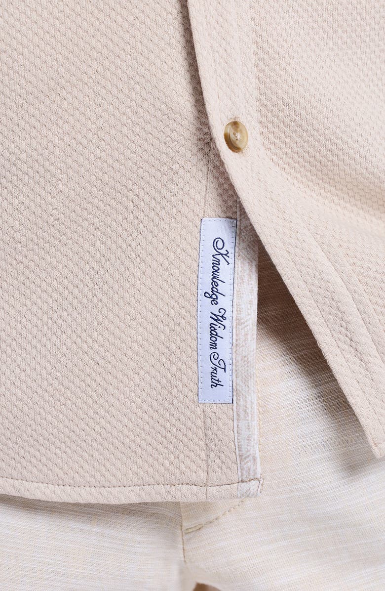 Robert Graham Eastling Cotton Button-Up Shirt, Alternate, color, Oatmeal