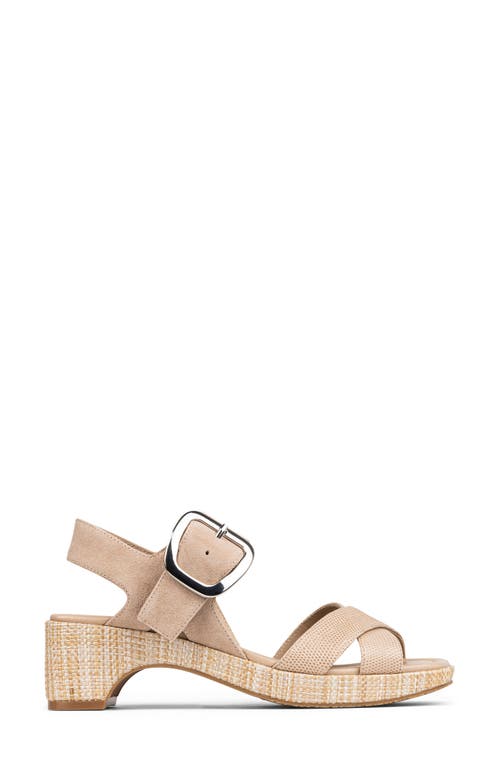 DONALD PLINER DONALD PLINER ROLLI BLOCK HEEL SANDAL