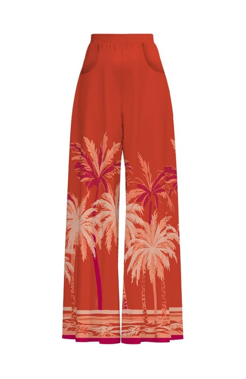 Diarrablu Hana Pants In Coco Terracota