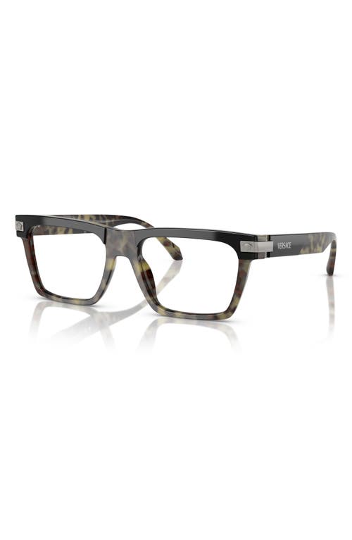 Versace Eyewear Eyewear In Havana