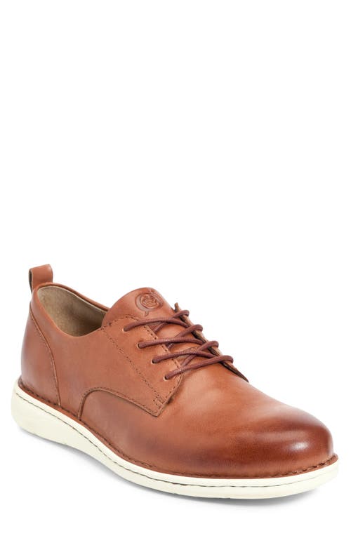 Børn Todd Plain Toe Derby in Brown Leather 