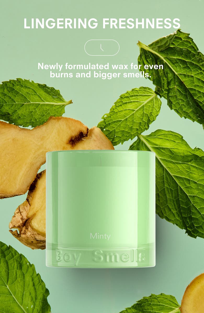 Boy Smells Minty Candle, Alternate, color,