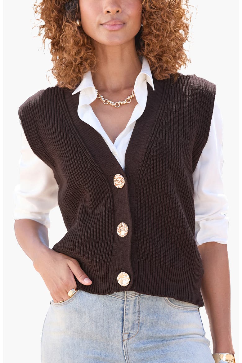 Button Detail Sweater Vest, Main, color, Brown
