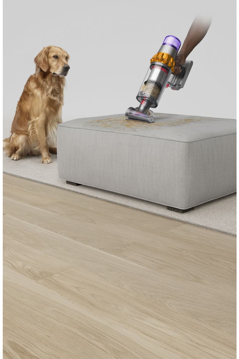V15 Detect Cordless Vacuum, Alternate, color, GREY TONES