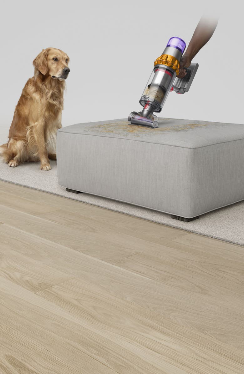 Dyson V15 Detect Cordless Vacuum, Alternate, color,