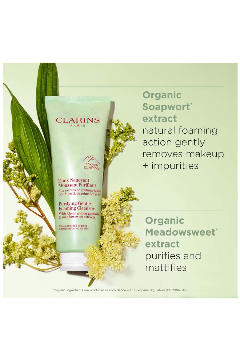 Purifying & Cleansing Set, Alternate, color, NO COLOR