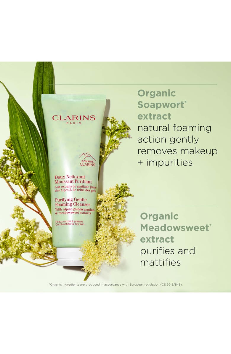 Clarins Purifying & Cleansing Set, Alternate, color,