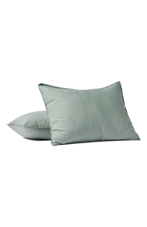 Coyuchi Crinkled Organic Cotton Percale Sham In Sage