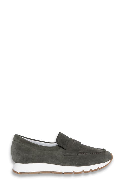 Voile Blanche Julia Hybrid Loafer Sneaker In Gray