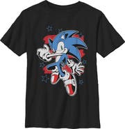 Sonic the Hedgehog Boys Sonic the Hedgehog Stars and Stripes Pose T Shirt