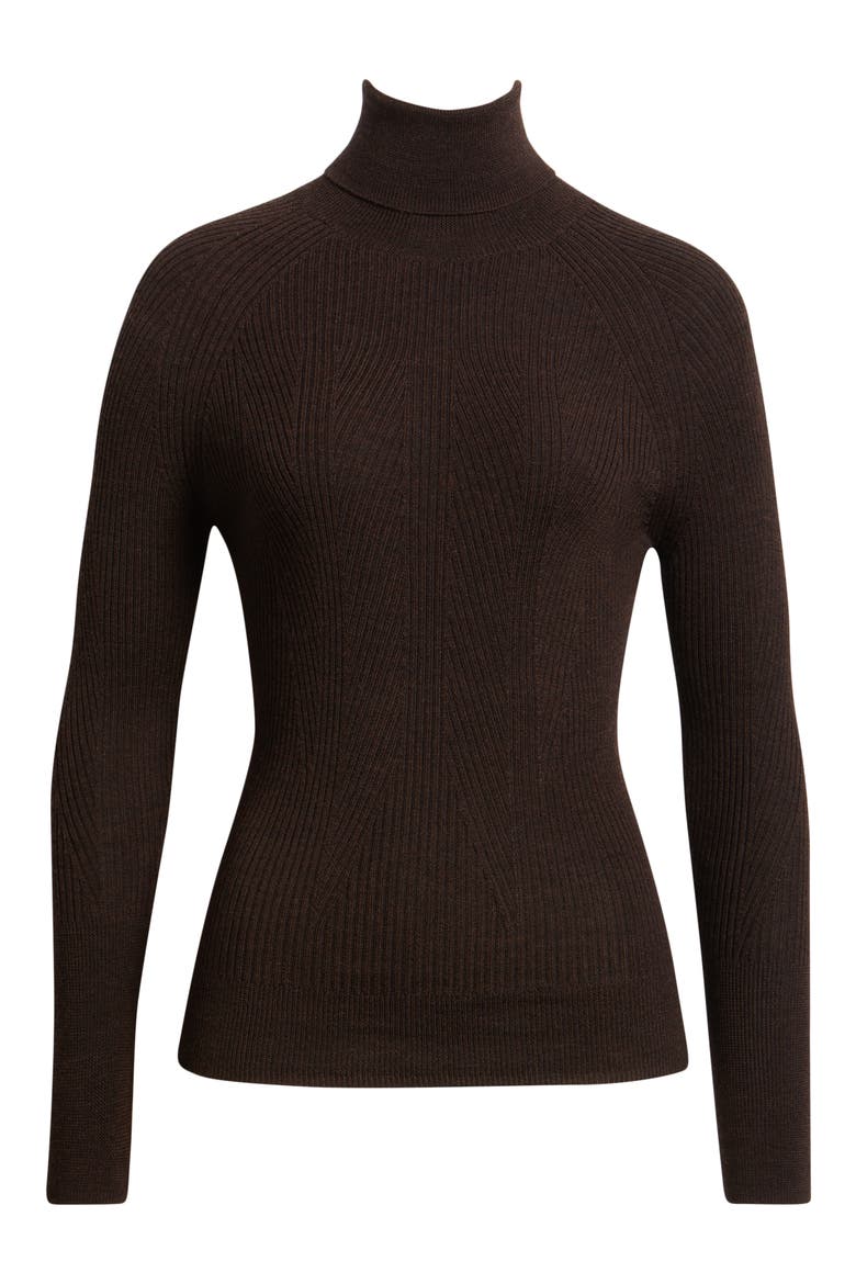 Merino Wool Turtleneck Sweater, Alternate, color, BRUNETTE