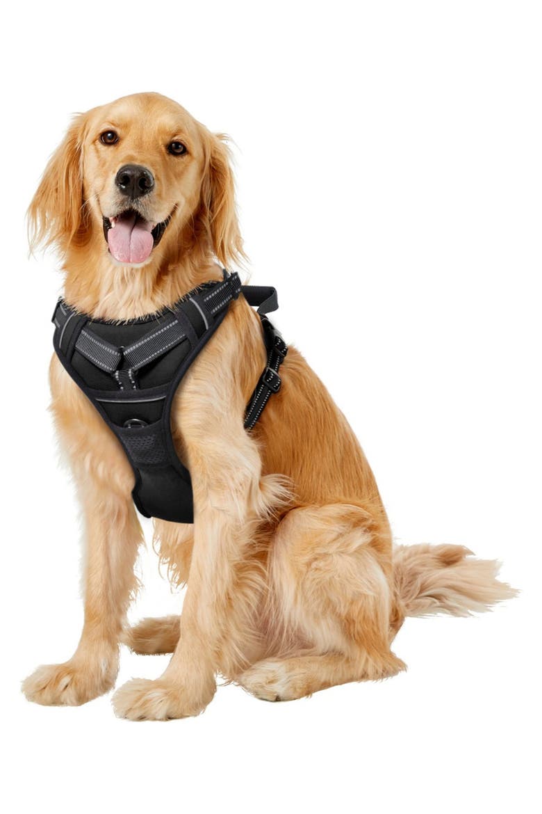 GooPaws Adjustable Padded Dog Harness, Alternate, color, BLACK
