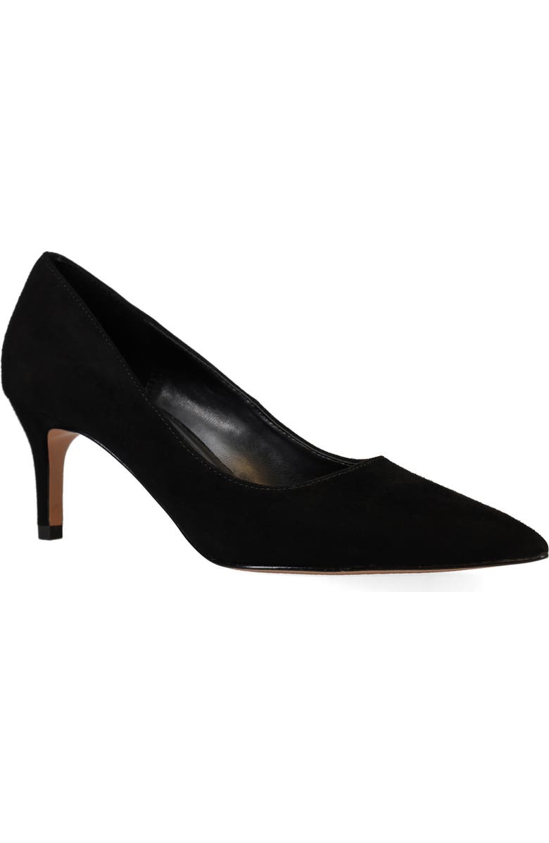 Pelle Moda Lailoni Pointed Toe Pump, Main, color, Black