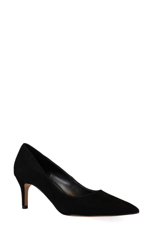 Pelle Moda Lailoni Pointed Toe Pump In Black
