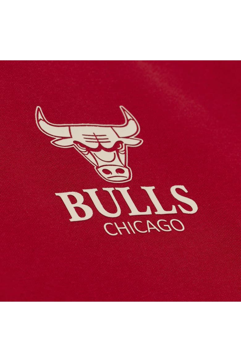 Men's Mitchell & Ness Red Chicago Bulls Core Fleece Hoodie, Alternate, color, Red