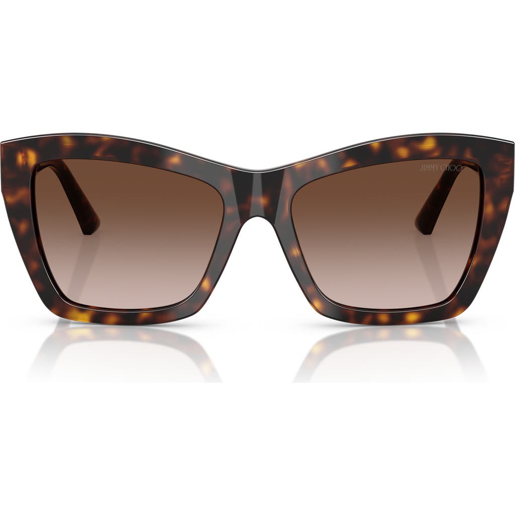 Jimmy Choo 54mm Cat Eye Sunglasses In Havana