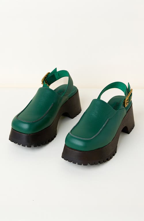 Charlotte Stone Carlos Slingback Platform Clog In Green