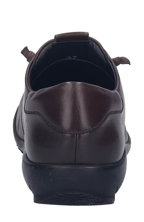 Josef Seibel Lace-up Sneaker In Brown