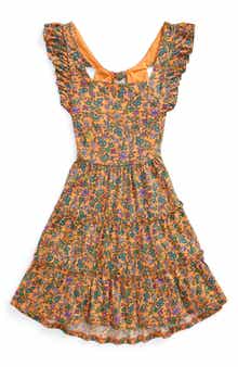 Polo Ralph Lauren Kids' Floral Ruffle Dress