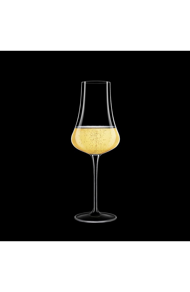 Luigi Bormioli Tentazioni Set of 6 Champagne Flutes, Alternate, color, 